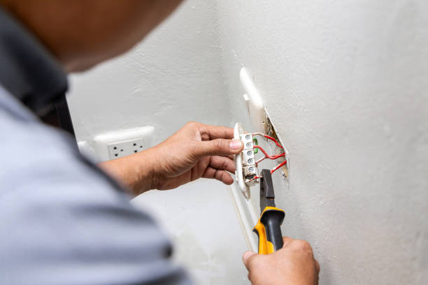 Best Electrician for Home Renovation  in Warm Mineral Springs, FL